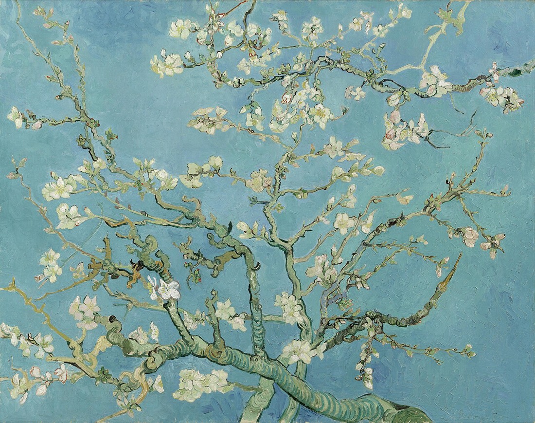 Amandelbloesem van Van Gogh